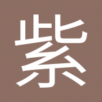 紫荆花盛开