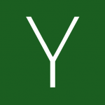 yang啊