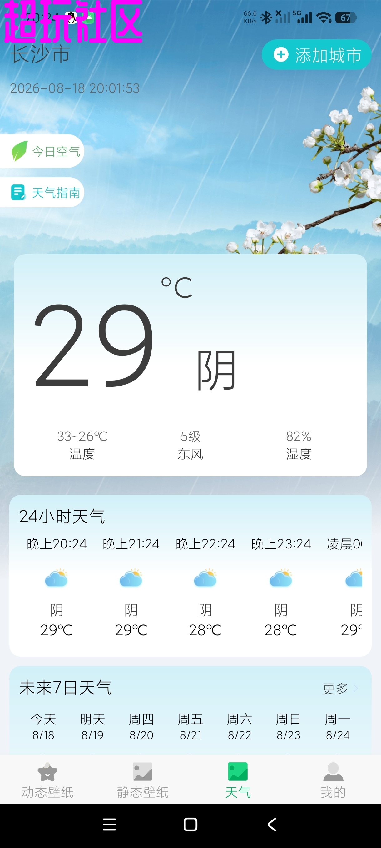 春晓壁纸_动态/静态壁纸/8K超高清